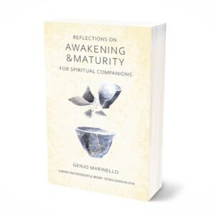 Reflections on Awakening & Maturity for Spiritual Companions by Genjo Marinello