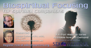 BioSpiritual Focusing for Spiritual Companions