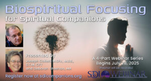 BioSpiritual Focusing for Spiritual Companions