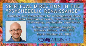 Psychedelics – Professional Consideration for Spiritual Companions