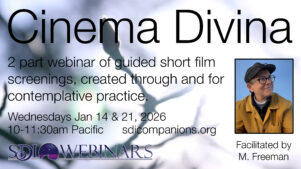 Cinema Divina: Guided Film Screenings to Calm and Nourish Hearts and Minds