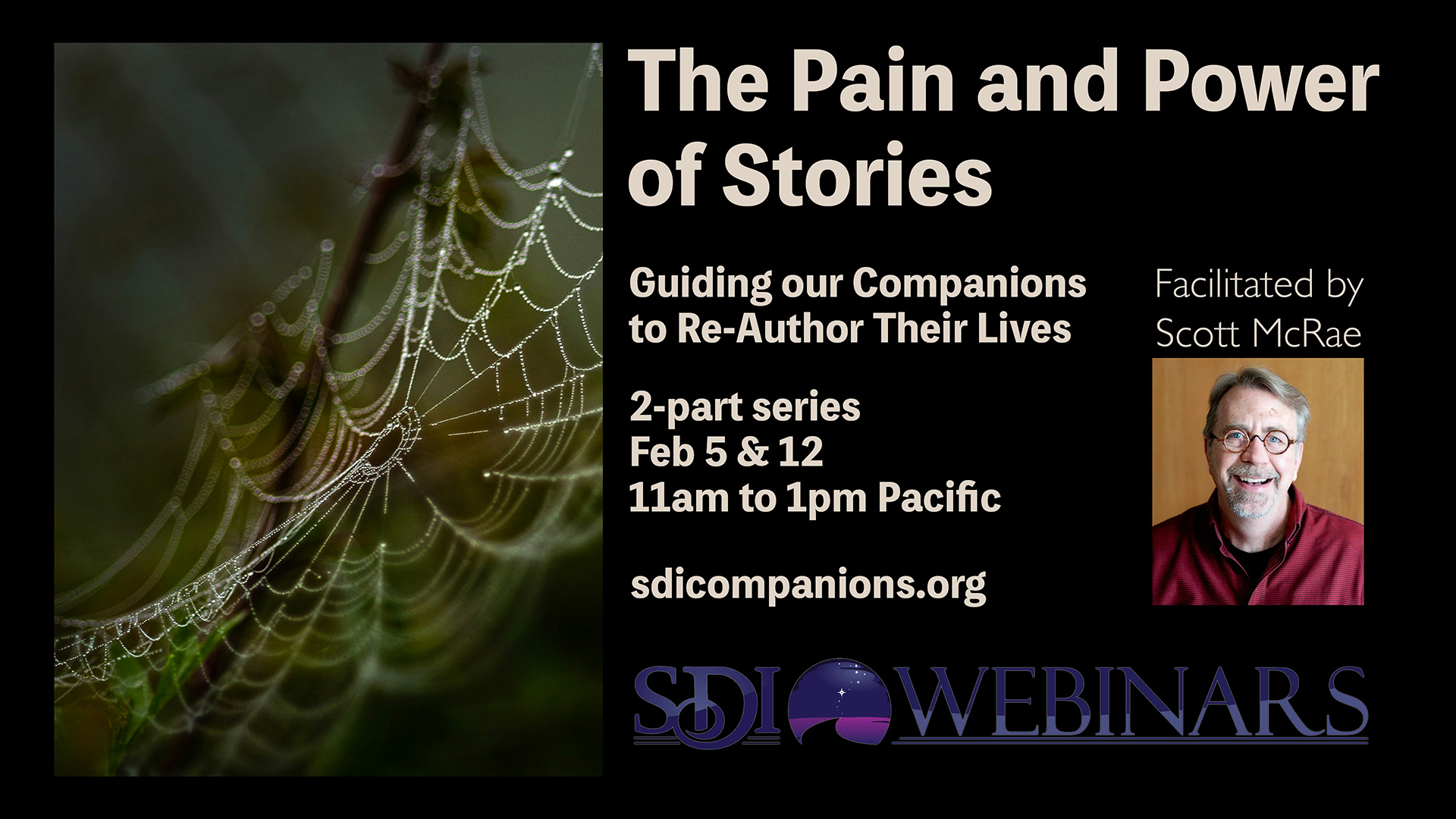 The Pain and Power of Stories: Guiding our Companions to Re-Author Their Lives